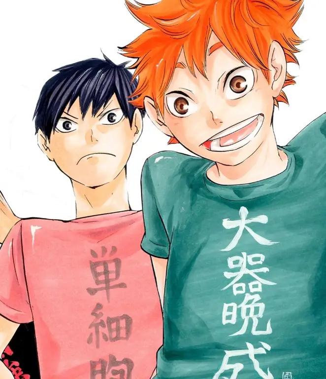 Duo Dinamis Hinata dan Kageyama Gambar Hinata Shoyo dan Kageyama Tobio, karakter utama dalam anime Haikyuu!!